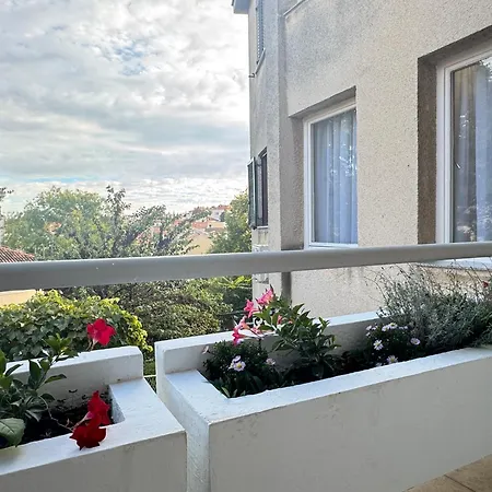 Flowers Apartments Pula, City Center-2