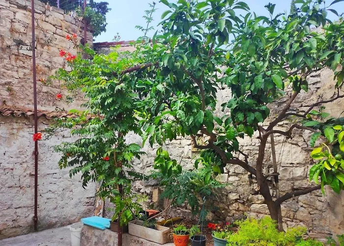 Casa Dei Fiori Pula