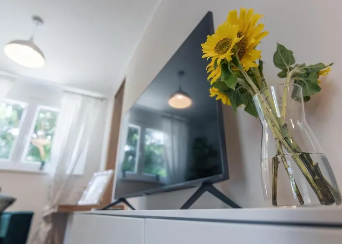Apartment Norah With Private Parking Pula